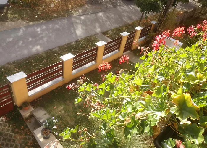 Napraforgo Vendeghaz * Balatonvilágos